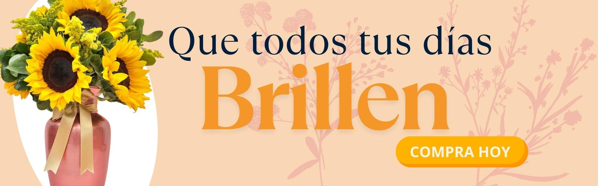 flores|flores cali|entrega a domicilio 